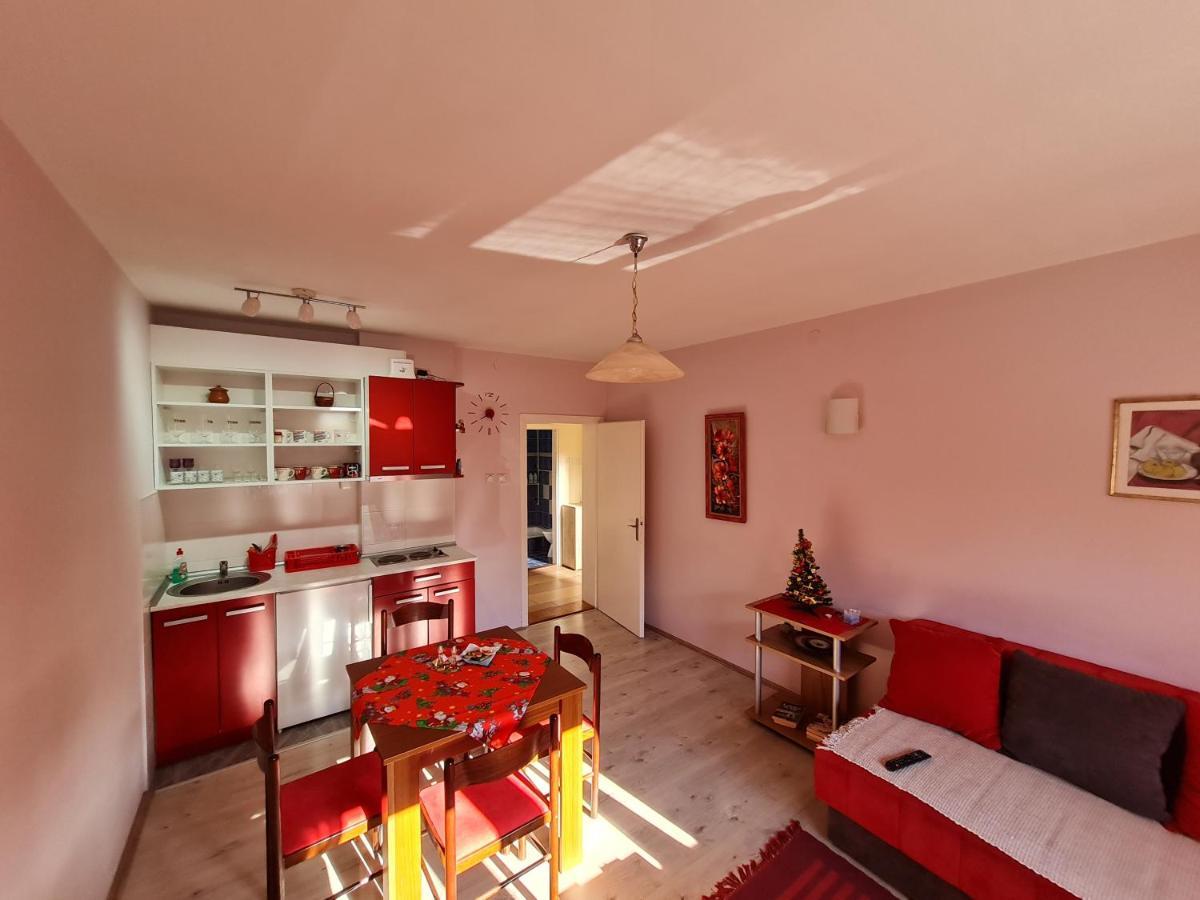 Apartman "Nina" Soko Banja Εξωτερικό φωτογραφία