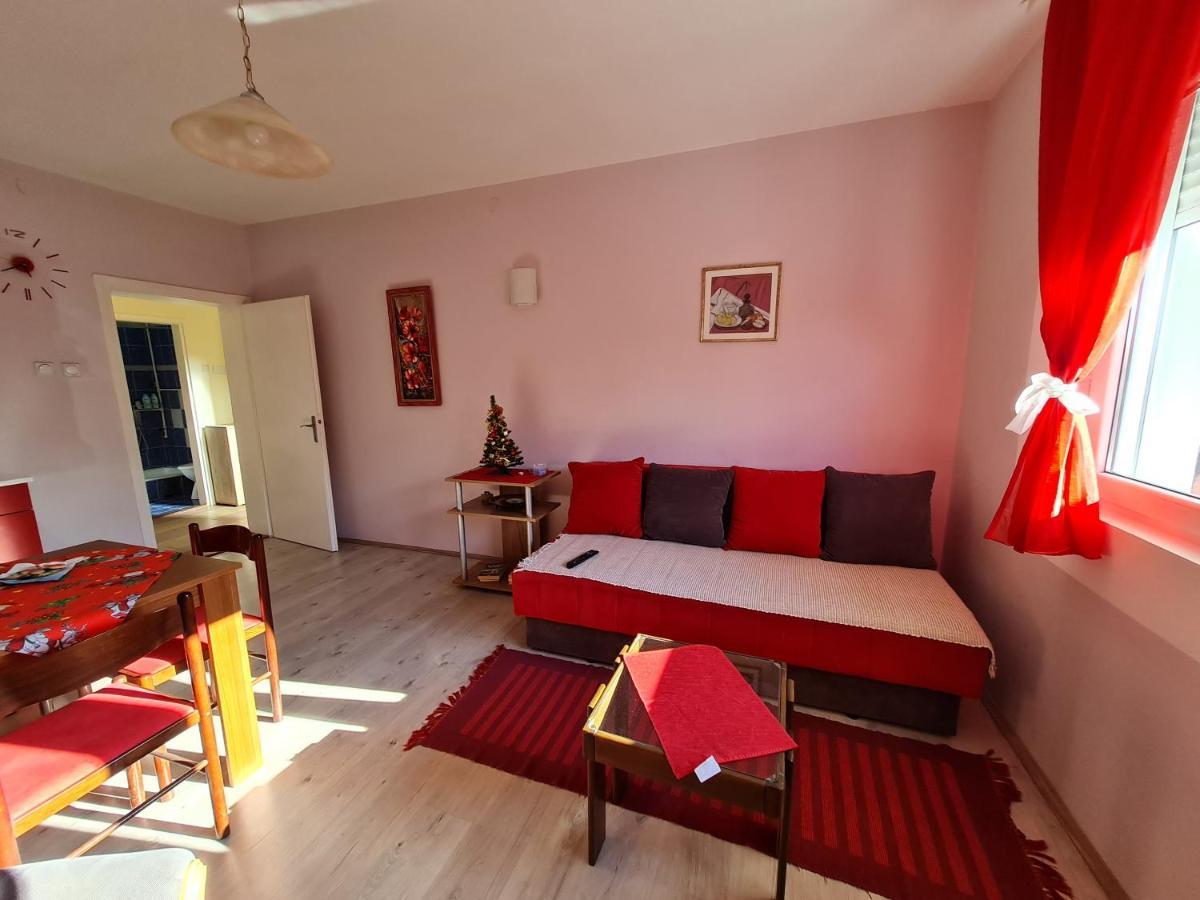Apartman "Nina" Soko Banja Εξωτερικό φωτογραφία
