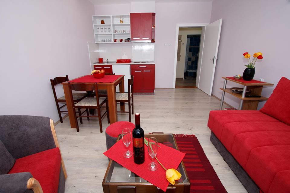 Apartman "Nina" Soko Banja Εξωτερικό φωτογραφία